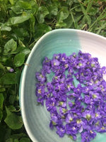Rollerball Jasmine Velvety Violet Oil - Limited Edition