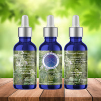 Catnip Plant Extract