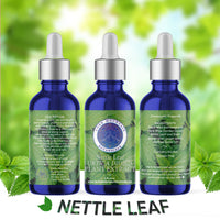 Nettle Leaf Plant Extract